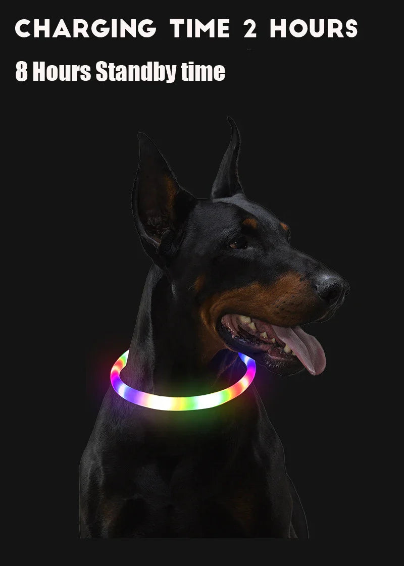 Led Dog Collar Luminous Usb Cat Dog Collar