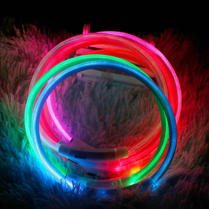 Led Dog Collar Luminous Usb Cat Dog Collar